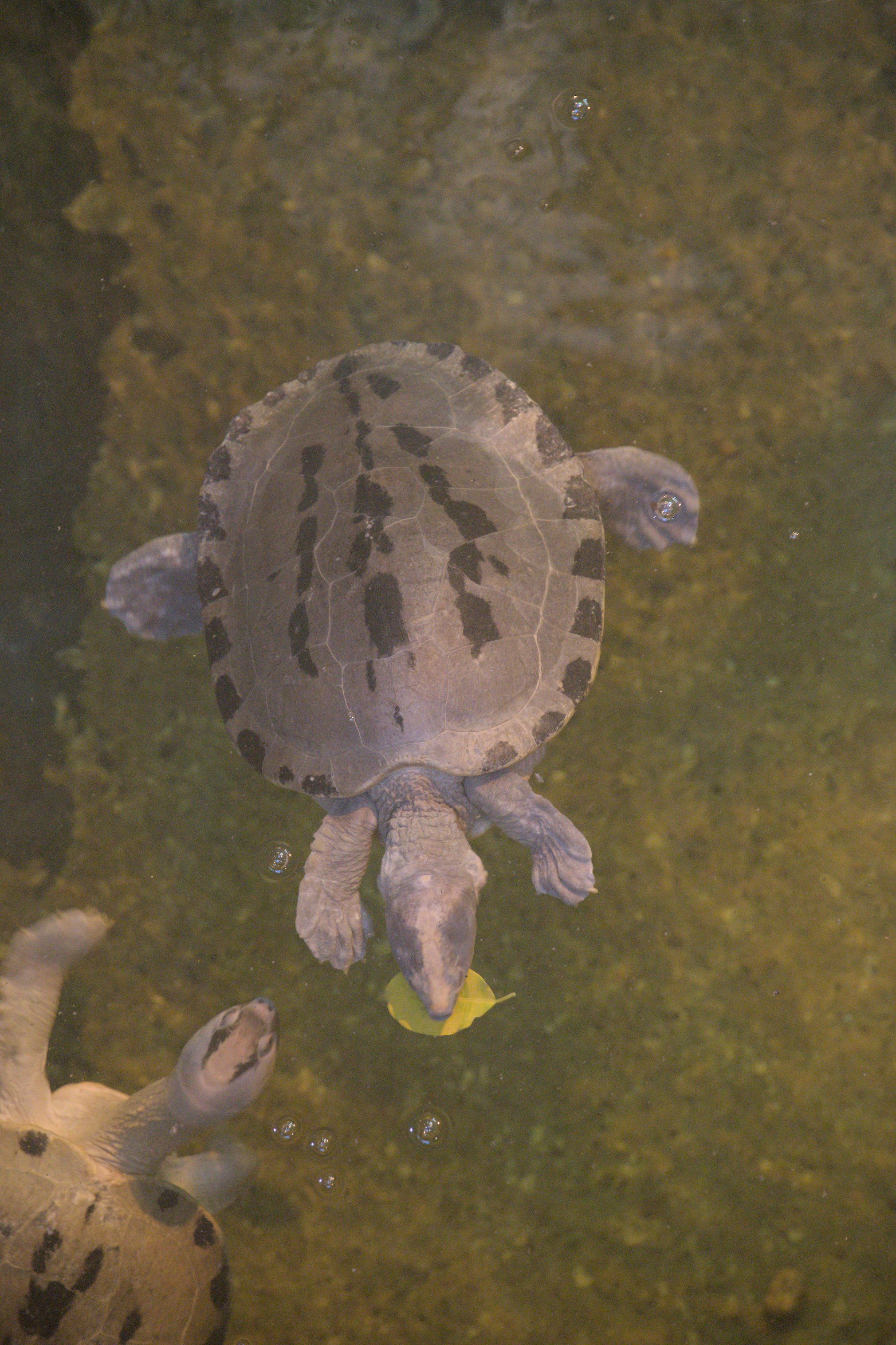 2025/10/12 - zoo/DSC_0145.jpg